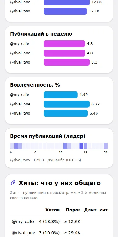 Audit report: views, posting frequency and engagement charts